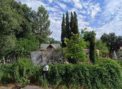 Campo