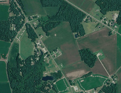 Mount Olive