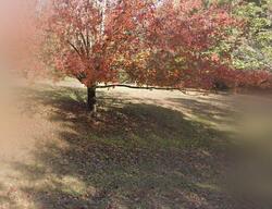  Haney Smith Rd