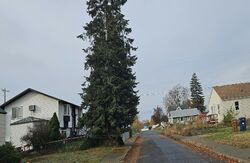  E Ostrander Ave