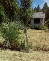  Wiley Creek Dr