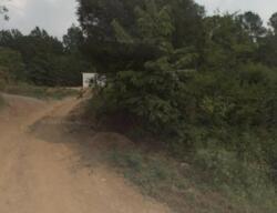  Wolf Creek Rd