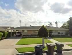  E Live Oak Dr