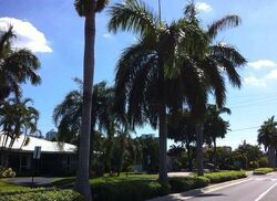 Hallandale