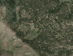  Forest View Dr
