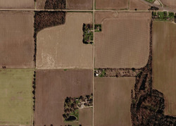  County Road 220