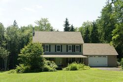 Canadensis