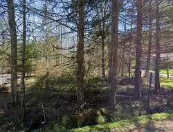  Deer Run