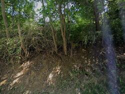  Pine Run Rd