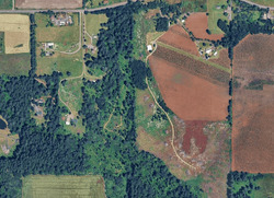 Stayton
