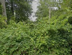 Hallihans Hill Rd