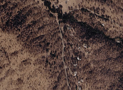  E Trimmer Springs Rd