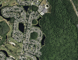  Sandy Marsh Ln
