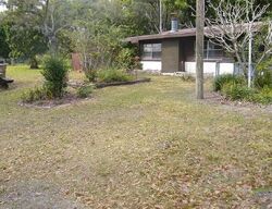 Palmetto