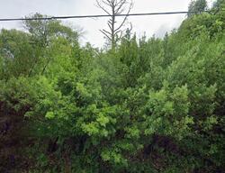  Hickory Fork Rd