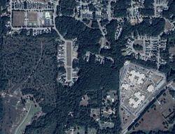  Cherry Laurel Loop