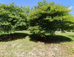  Patterson Grove Rd