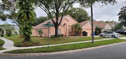  Appaloosa Dr