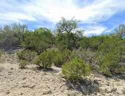  Muleshoe Bend Trl