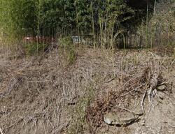  Poplar Gap Rd