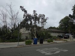  Rayshire St