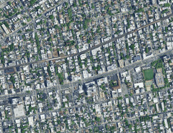  Schenck Ave