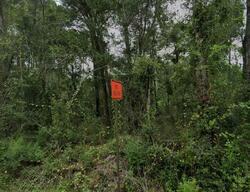  Crawfordville Hwy