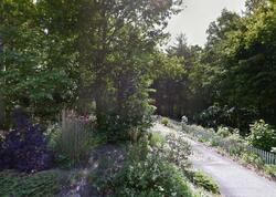  Beech Tree Ln