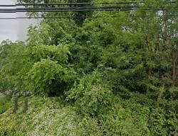  Perryman Rd