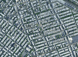 Palmetto St