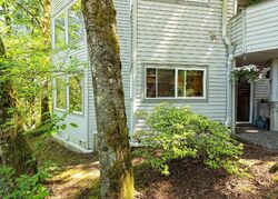  Eagle Crest Dr Apt 1e
