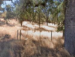  Scotts Valley Rd