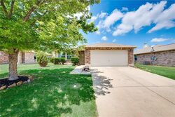 Little Elm