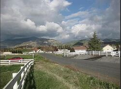 Springville