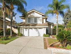  Ficus St