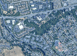  Forest Creek Ln
