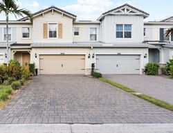  Ficus St