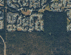 Ocala, FL #31037955