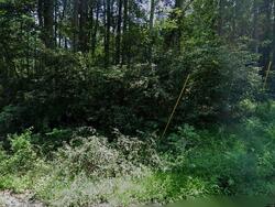  Hollow Rd