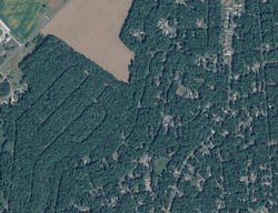 Greenbackville