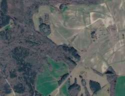  Willis Pinnell Rd