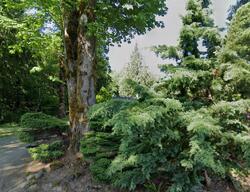 Quilcene