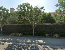  Acacia St