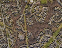  Buckeye Ct