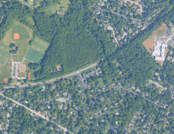  Forest Haven Dr