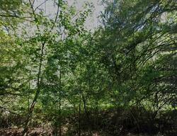 Greenwood