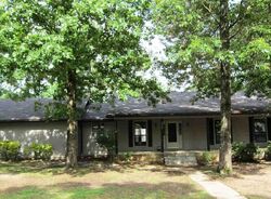  Coraltree Dr