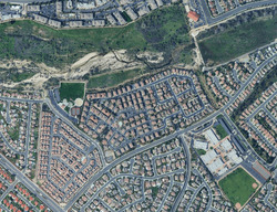  Bellflower Ln