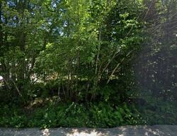 Buckfield