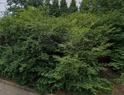  New Jersey Ave